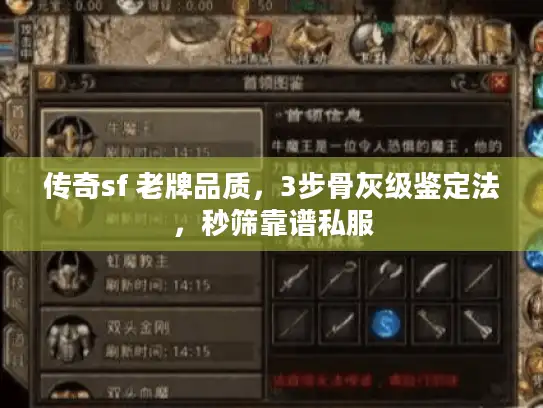 传奇sf 老牌品质，3步骨灰级鉴定法，秒筛靠谱私服