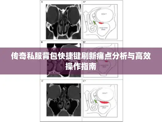 传奇私服背包快捷键刷新痛点分析与高效操作指南