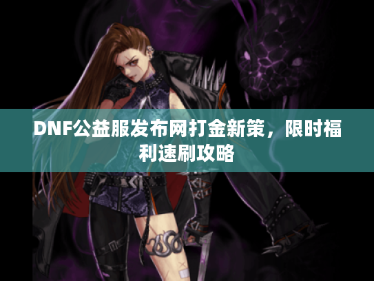 DNF公益服发布网打金新策，限时福利速刷攻略