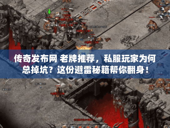 传奇发布网 老牌推荐图片