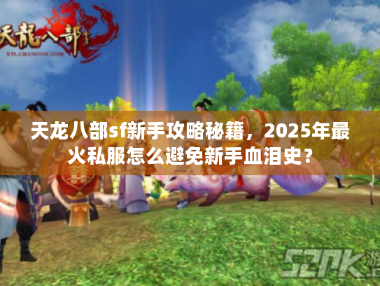 天龙八部sf新手攻略秘籍，2025年最火私服怎么避免新手血泪史？