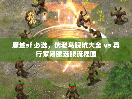 魔域sf 必选，伪老鸟踩坑大全 vs 真行家闭眼选服流程图