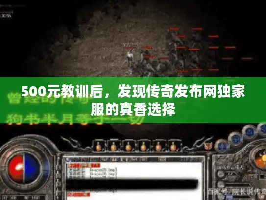 500元教训后，发现传奇发布网独家服的真香选择