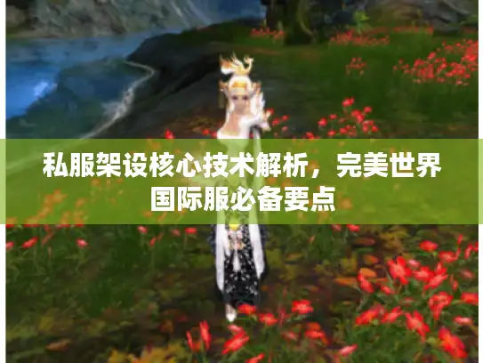 私服架设核心技术解析，完美世界国际服必备要点
