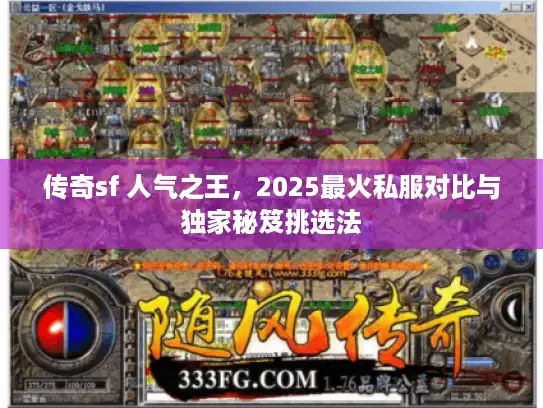传奇sf 人气之王，2025最火私服对比与独家秘笈挑选法