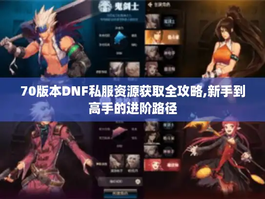 70版本DNF私服资源获取全攻略,新手到高手的进阶路径