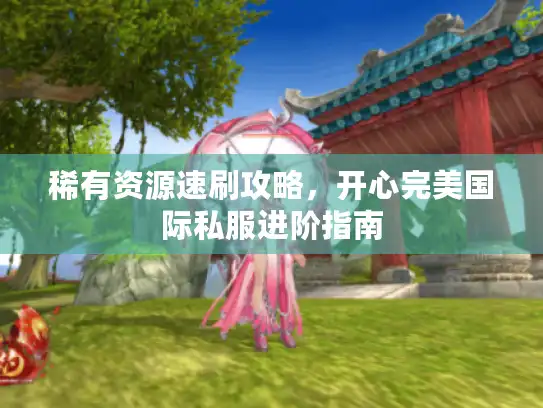 稀有资源速刷攻略，开心完美国际私服进阶指南