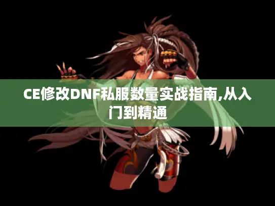 CE修改DNF私服数量实战指南,从入门到精通 CE修改DNF私服数量实战指南,从入门到精通