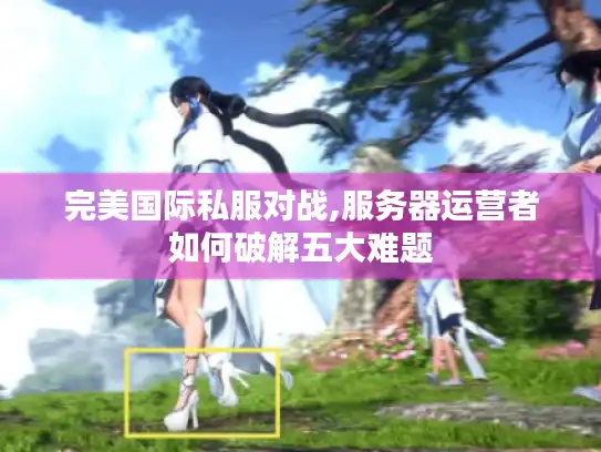 完美国际私服对战,服务器运营者如何破解五大难题