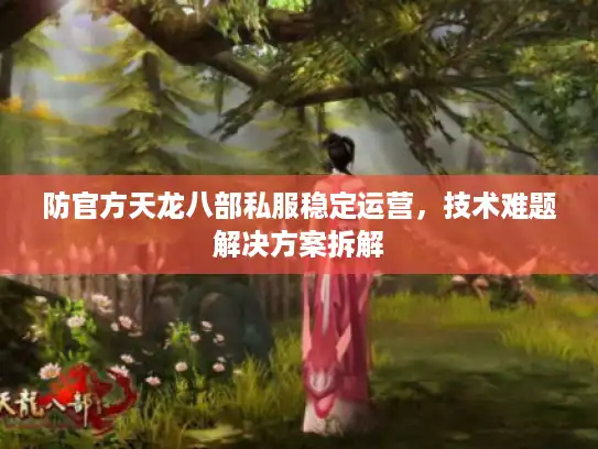 防官方天龙八部私服稳定运营，技术难题解决方案拆解