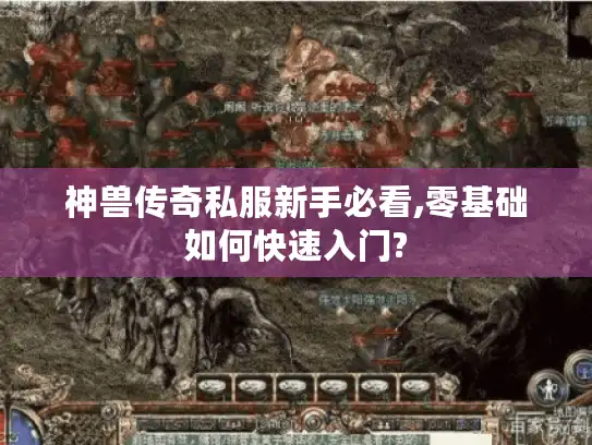 神兽传奇私服新手必看,零基础如何快速入门? 神兽传奇私服新手必看,零基础如何快速入门?