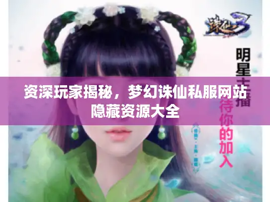 资深玩家揭秘，梦幻诛仙私服网站隐藏资源大全