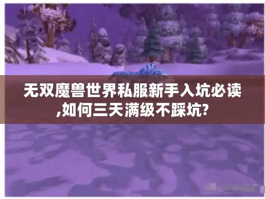 无双魔兽世界私服新手入坑必读,如何三天满级不踩坑?
