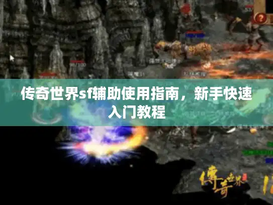 传奇世界sf辅助使用指南，新手快速入门教程