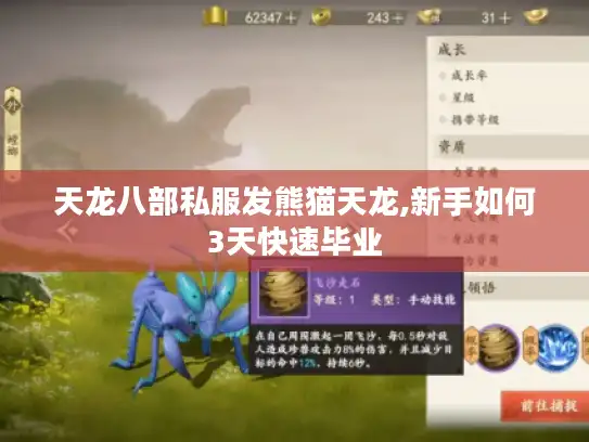 天龙八部私服发熊猫天龙,新手如何3天快速毕业