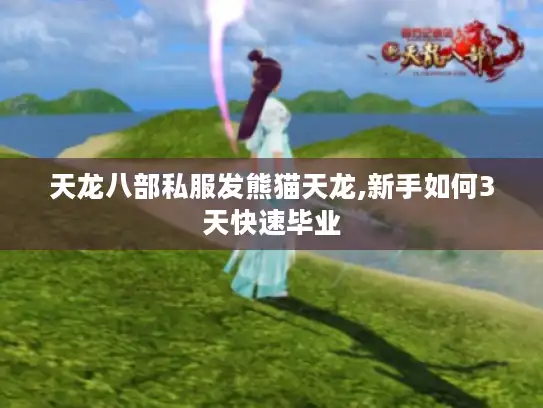 天龙八部私服发熊猫天龙,新手如何3天快速毕业