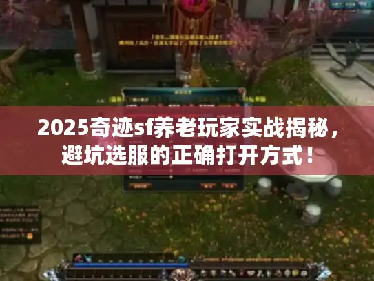 2025奇迹sf养老玩家实战揭秘,避坑选服的正确打开方式! 2025奇迹sf养老玩家实战揭秘,避坑选服的正确打开方式!