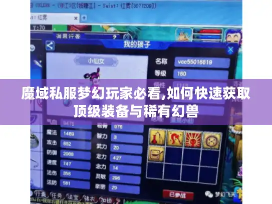 魔域私服梦幻玩家必看,如何快速获取顶级装备与稀有幻兽