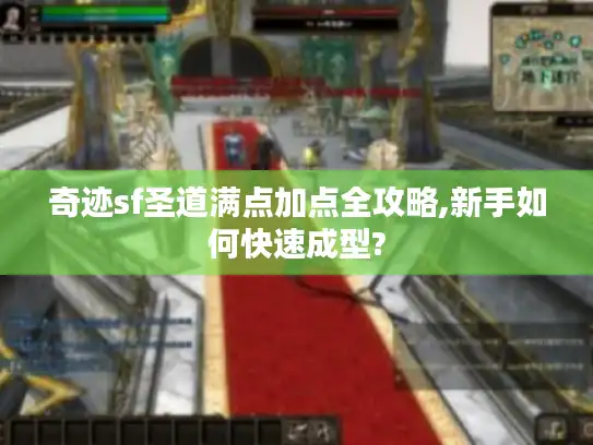 奇迹sf圣道满点加点全攻略,新手如何快速成型?