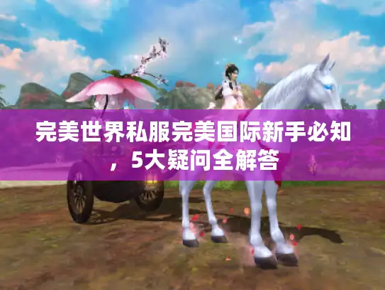 完美世界私服完美国际新手必知，5大疑问全解答