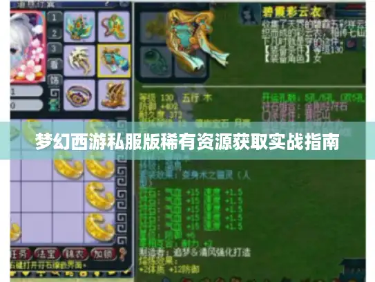 梦幻西游私服版稀有资源获取实战指南