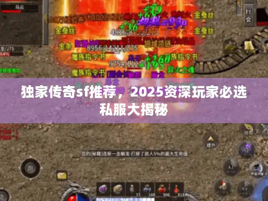 独家传奇sf推荐,2025资深玩家必选私服大揭秘 独家传奇sf推荐,2025资深玩家必选私服大揭秘