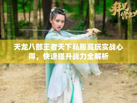 天龙八部王者天下私服高玩实战心得，快速提升战力全解析