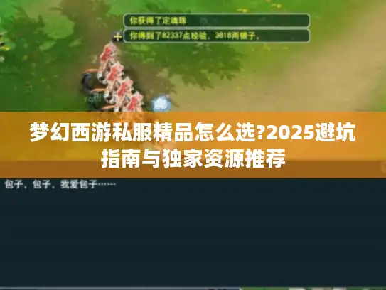 梦幻西游私服精品怎么选?2025避坑指南与独家资源推荐