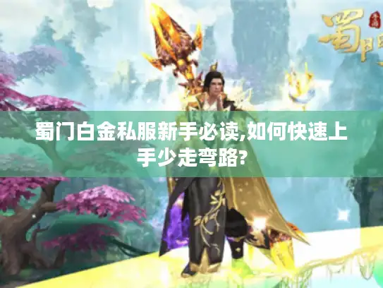 蜀门白金私服新手必读,如何快速上手少走弯路?