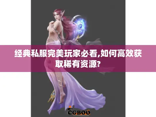 经典私服完美玩家必看,如何高效获取稀有资源?