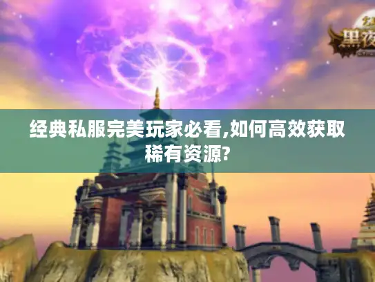 经典私服完美玩家必看,如何高效获取稀有资源?