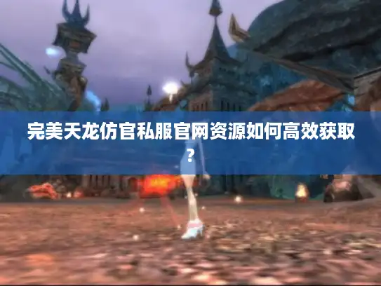 完美天龙仿官私服官网资源如何高效获取?