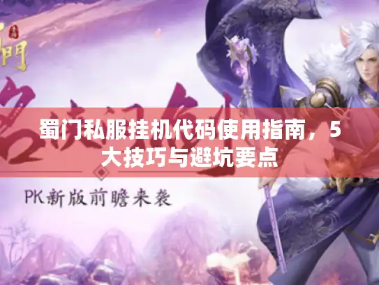 蜀门私服挂机代码使用指南，5大技巧与避坑要点