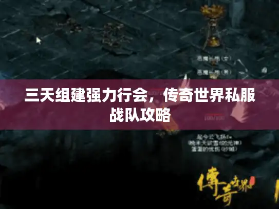 三天组建强力行会,传奇世界私服战队攻略 三天组建强力行会,传奇世界私服战队攻略