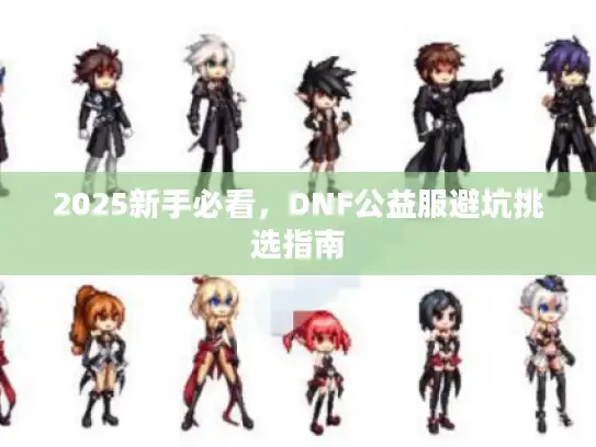 2025新手必看，DNF公益服避坑挑选指南