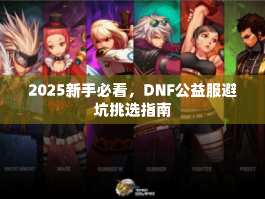 2025新手必看，DNF公益服避坑挑选指南