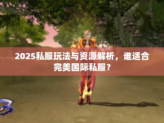 2025私服玩法与资源解析，谁适合完美国际私服？