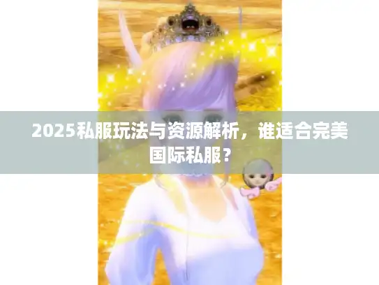 2025私服玩法与资源解析，谁适合完美国际私服？