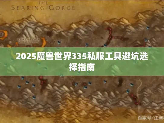 2025魔兽世界335私服工具避坑选择指南