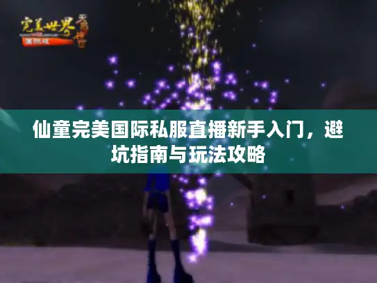 仙童完美国际私服直播新手入门，避坑指南与玩法攻略