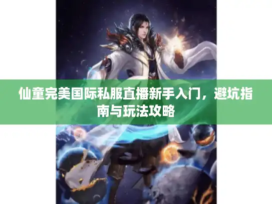 仙童完美国际私服直播新手入门，避坑指南与玩法攻略
