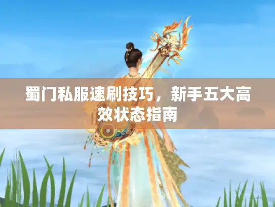 蜀门私服速刷技巧，新手五大高效状态指南