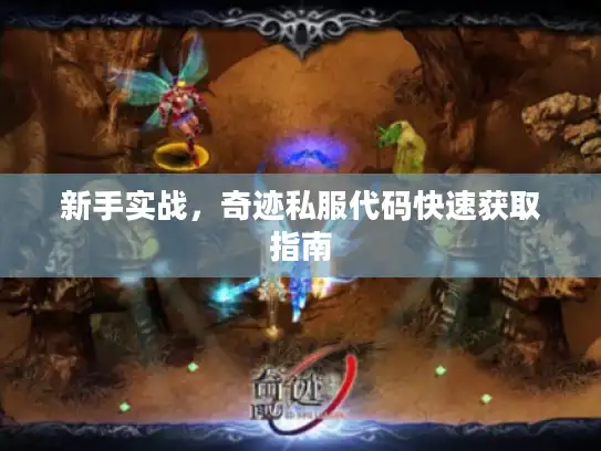 新手实战，奇迹私服代码快速获取指南