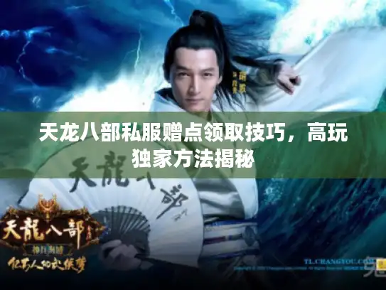 天龙八部私服赠点领取技巧,高玩独家方法揭秘 天龙八部私服赠点领取技巧,高玩独家方法揭秘