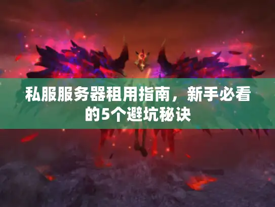 私服服务器租用指南，新手必看的5个避坑秘诀