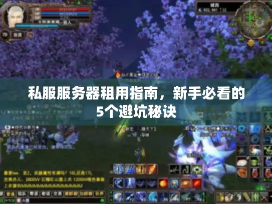 私服服务器租用指南，新手必看的5个避坑秘诀