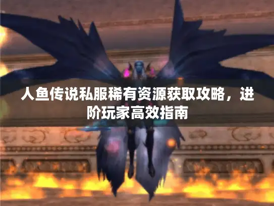 人鱼传说私服稀有资源获取攻略，进阶玩家高效指南