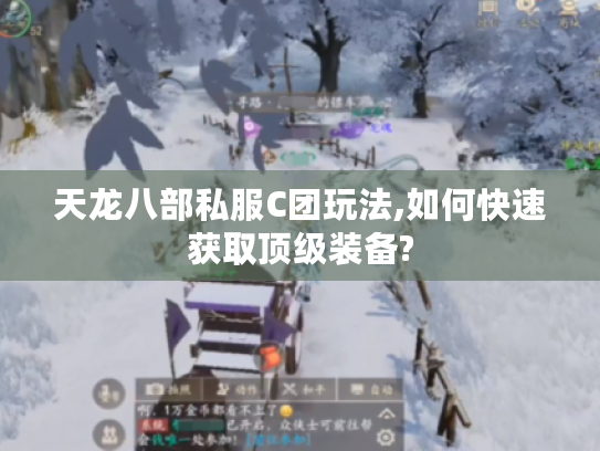 天龙八部私服C团玩法,如何快速获取顶级装备?