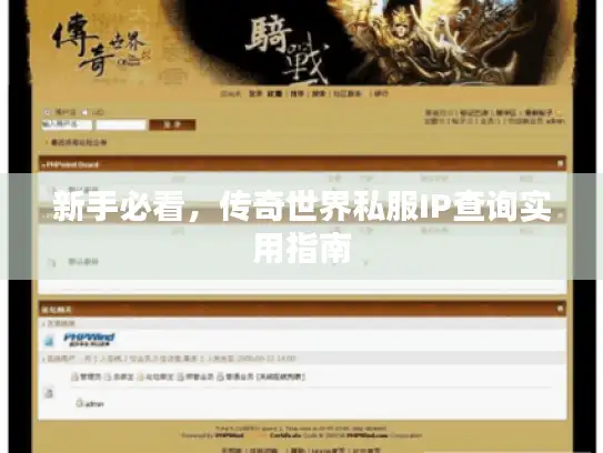 新手必看,传奇世界私服IP查询实用指南 新手必看,传奇世界私服IP查询实用指南