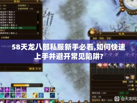 58天龙八部私服新手必看,如何快速上手并避开常见陷阱?